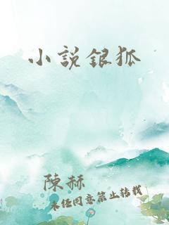 小说银狐