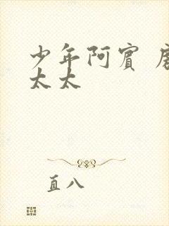 少年阿宾 房东太太