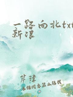 一路向北txt新浪