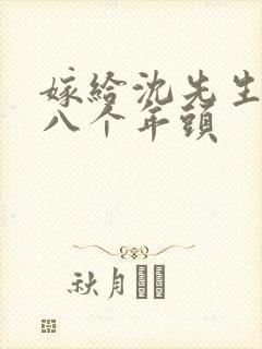 嫁给沈先生的第八个年头