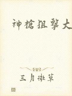 神枪狙击大结局