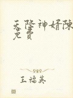 天降神婿陈黄皮免费