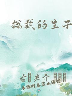 总裁的生子情人