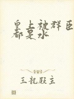 皇上被群臣干的都是水