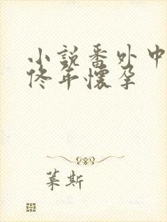 小说番外中结局佟年怀孕