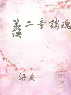 第二章销魂的交换