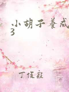 小胡子养成计划3