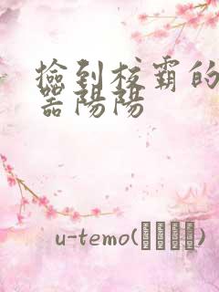 捡到校霸的遥控器阳阳