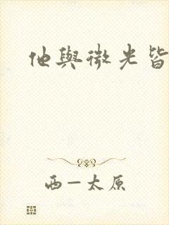 他与微光皆倾城