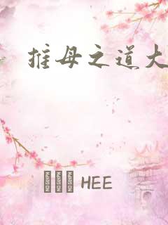 推母之道大结局