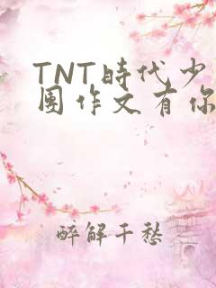 TNT时代少年团作文有你真好