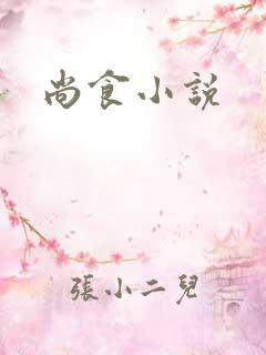 尚食小说