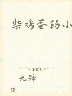 柴鸡蛋的小说