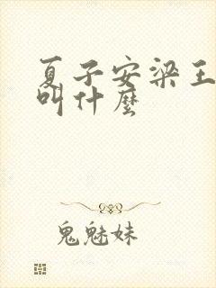 夏子安梁王书名叫什么