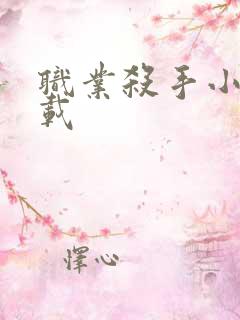 职业杀手小说下载