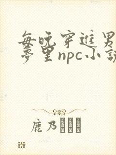每晚穿进男神的梦里npc小说