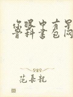 你眼中有星辰h骨科书包网