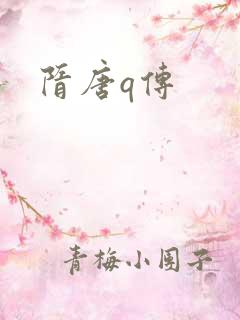 隋唐q传