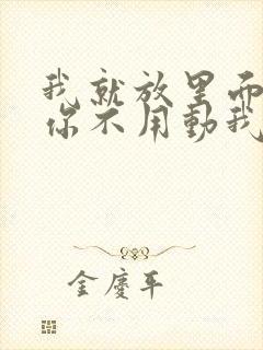 我就放里面不动你不用动我动