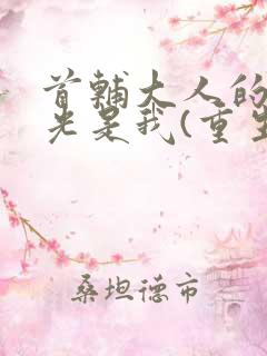 首辅大人的白月光是我(重生)