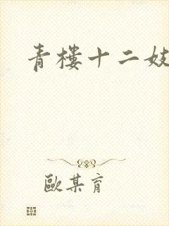 青楼十二妓