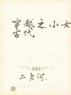 穿越之小女子闹古代