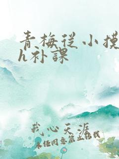 青梅从小摸到大h补课