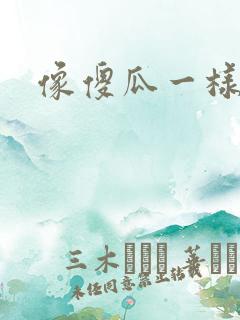 像傻瓜一样去爱