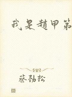 我是赵甲第小说