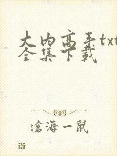 大内高手txt全集下载