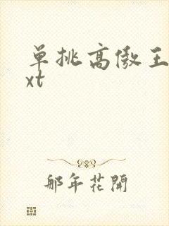 单挑高傲王子txt