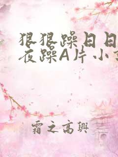 狠狠躁日日躁夜夜躁A片小说