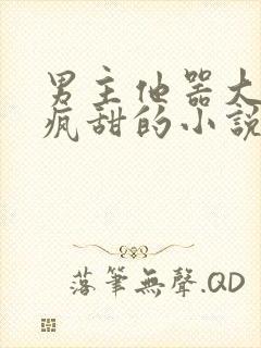 男主他器大活好疯甜的小说