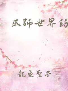 巫师世界的法师