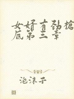 女婿有劲枪枪到底第三章