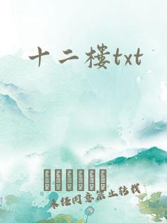 十二楼txt