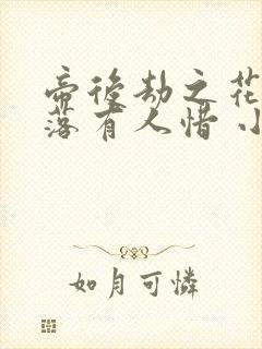 帝后劫之花开花落有人惜 小说