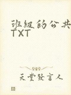 班级的公共玩具TXT