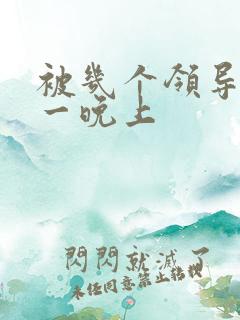 被几个领导玩弄一晚上