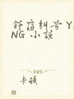 舒窈纠兮 YING 小说