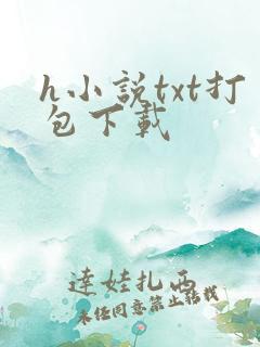 h小说txt打包下载