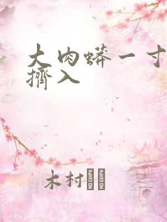 大肉蟒一寸一寸挤入