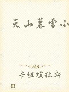 天山暮雪小说