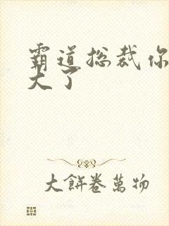 霸道总裁你的太大了