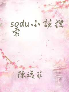 sodu小说搜索
