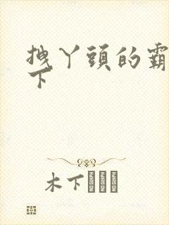 拽丫头的霸道殿下