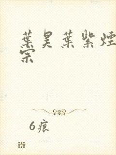 叶昊叶紫烟老祖宗