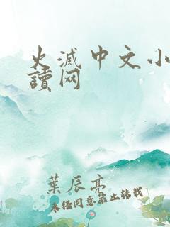 火灭中文小说阅读网