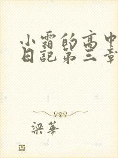 小霜的高中成长日记第三章