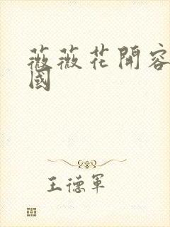 薇薇花开容颜倾国